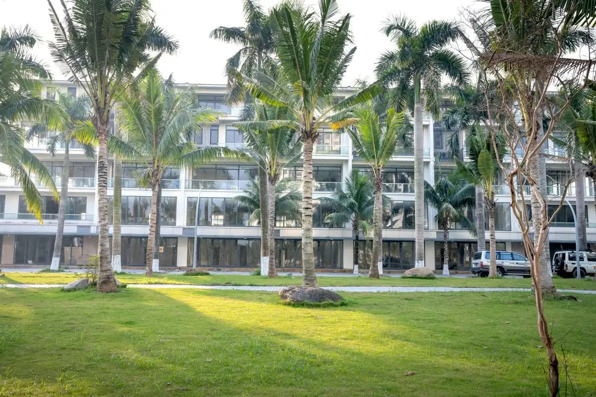 Wide green lawn in front of a white apartment building with palm trees