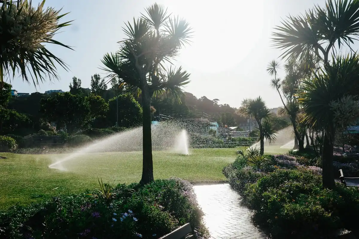 Lush Florida lawn and palm trees lit by warm evening sun