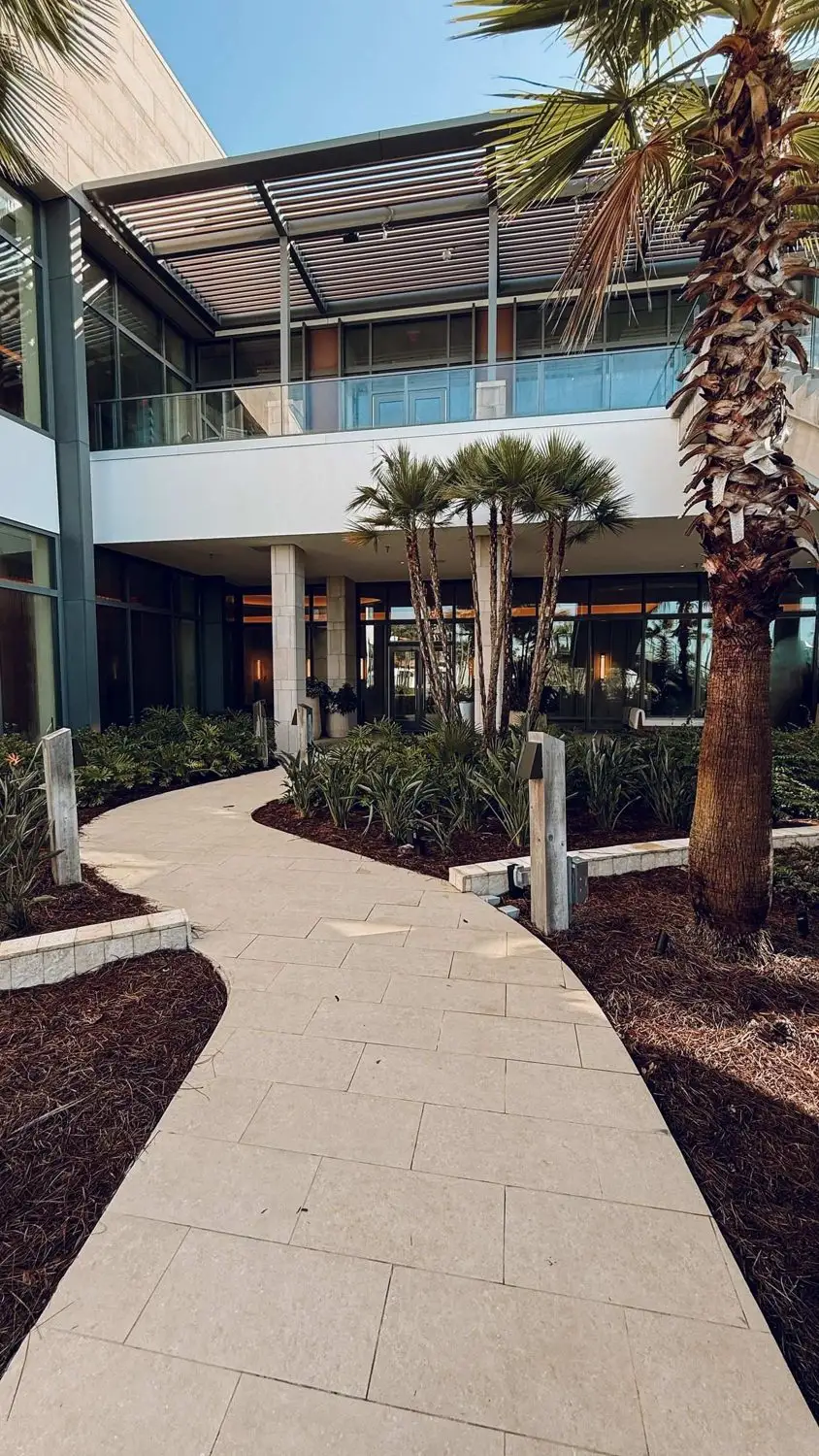 Paved walkway curving through mulched beds and palms at an office entrance