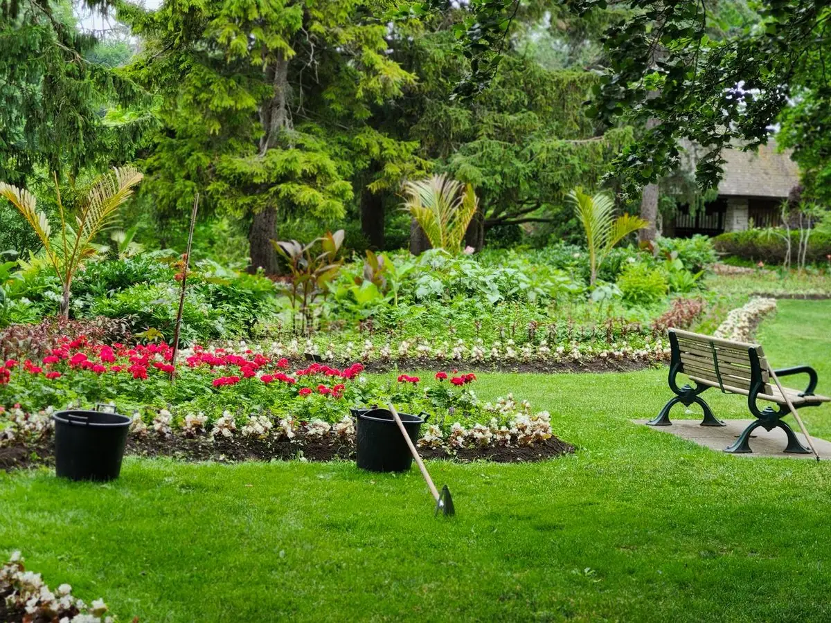 Bed of red flowers beside a lawn and a park bench, with buckets and a hoe resting on the grass