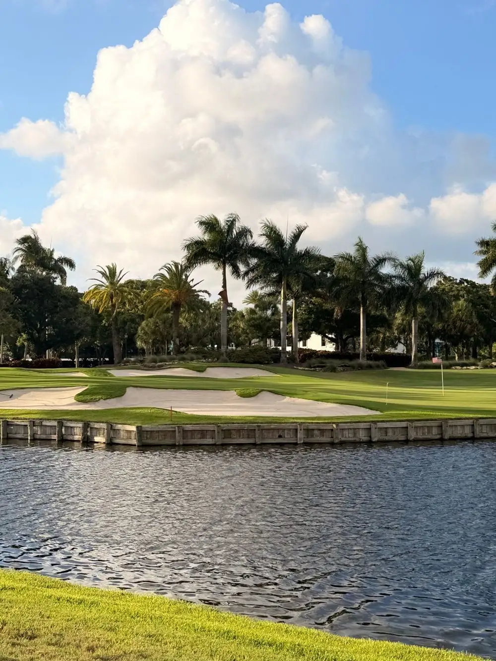 Mown lawn bank sloping to a pond with palm trees along the far shore