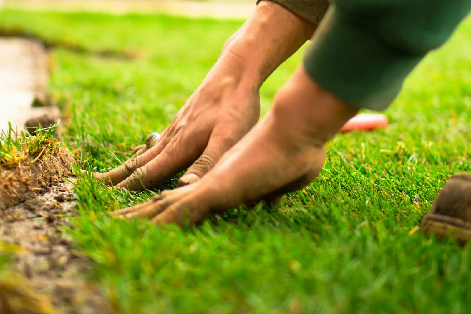 Fresh sod rolls being laid across a yard